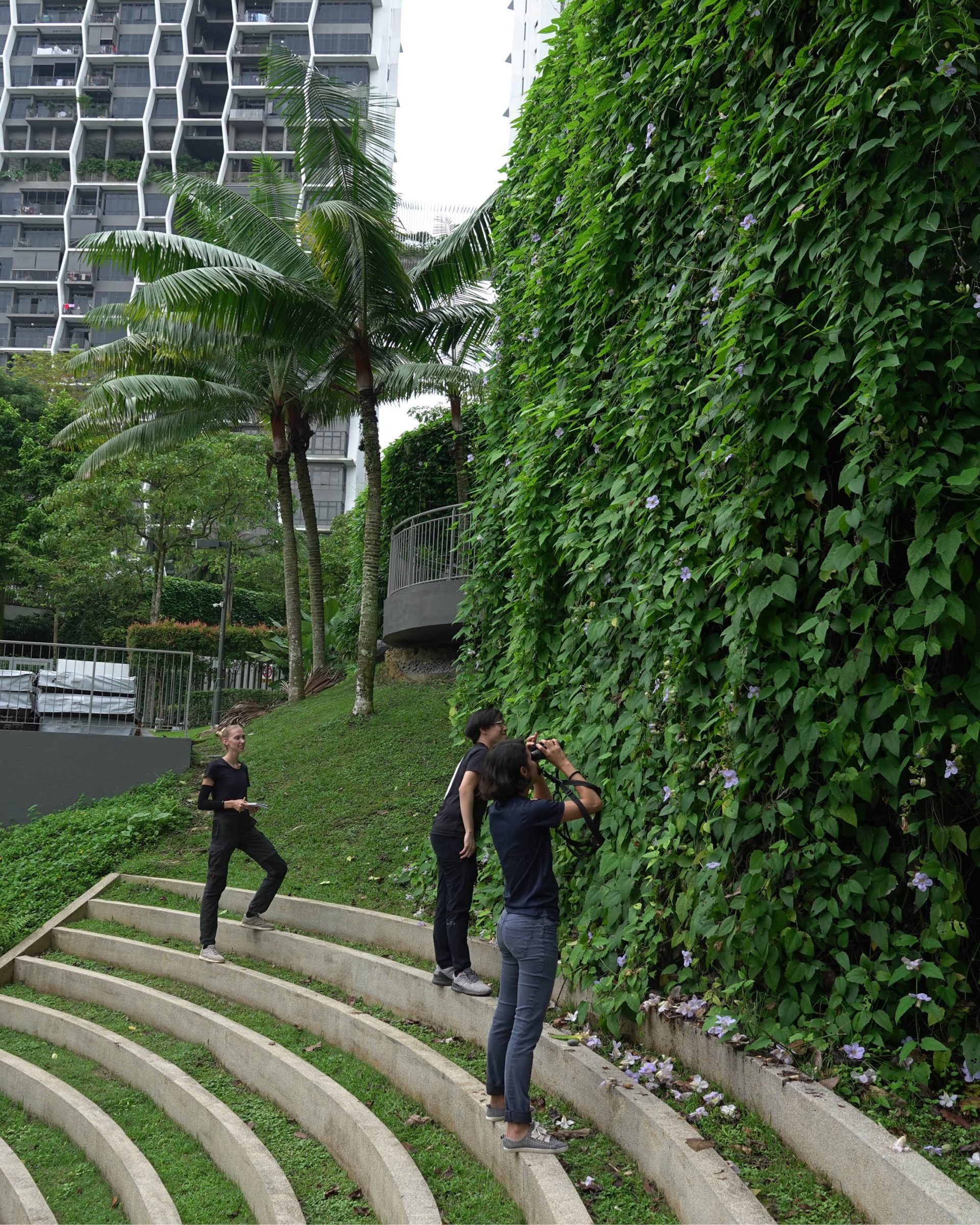Vertical Green Wall Assessment, Singapore