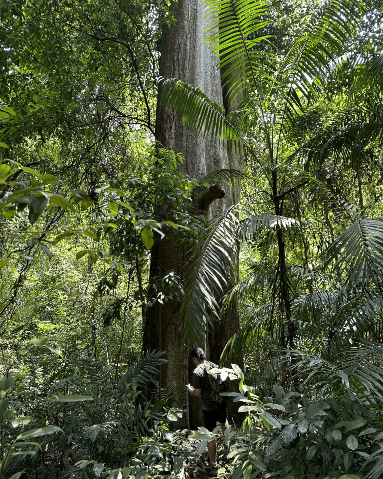 Sentosa Environmental Baseline Study, Singapore