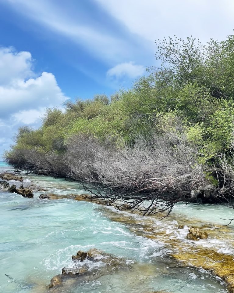 Aadhangau Island, Maldives